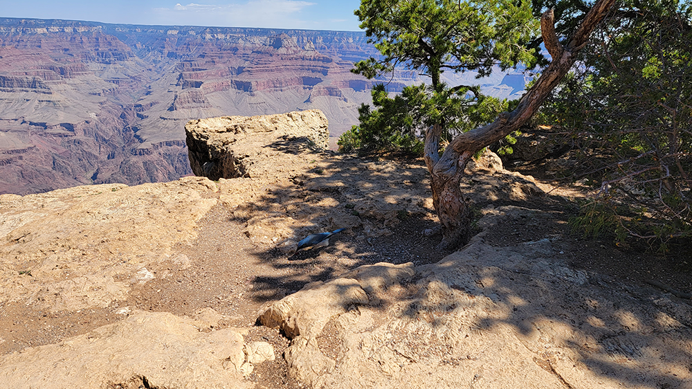 Gallery collage photo